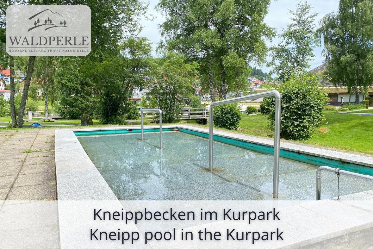 Apartment Bellevue mit Indoor-Pool, Sauna und Tennisplatz Schonach im Schwarzwald Exterior foto