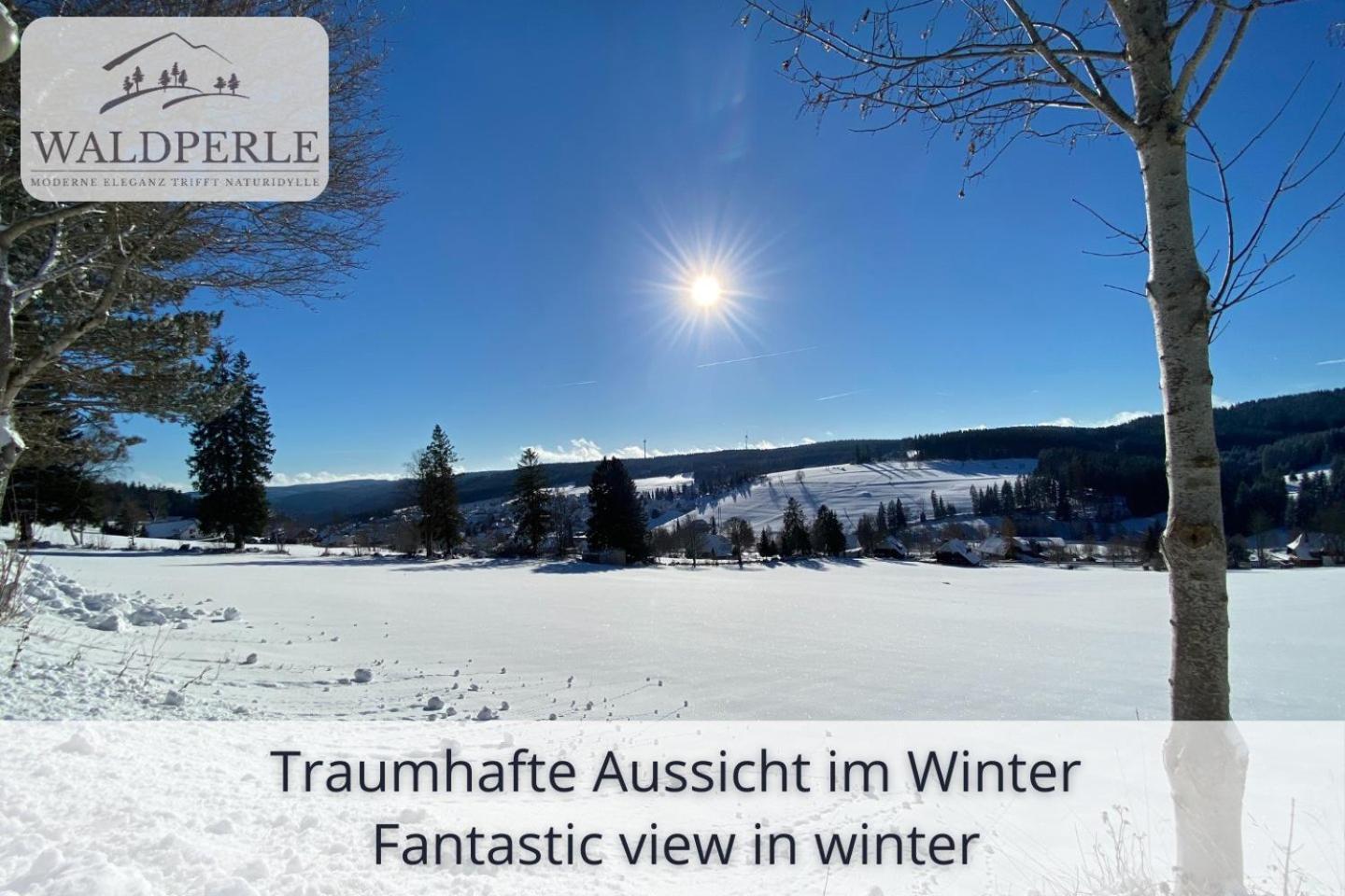 Apartment Bellevue mit Indoor-Pool, Sauna und Tennisplatz Schonach im Schwarzwald Exterior foto
