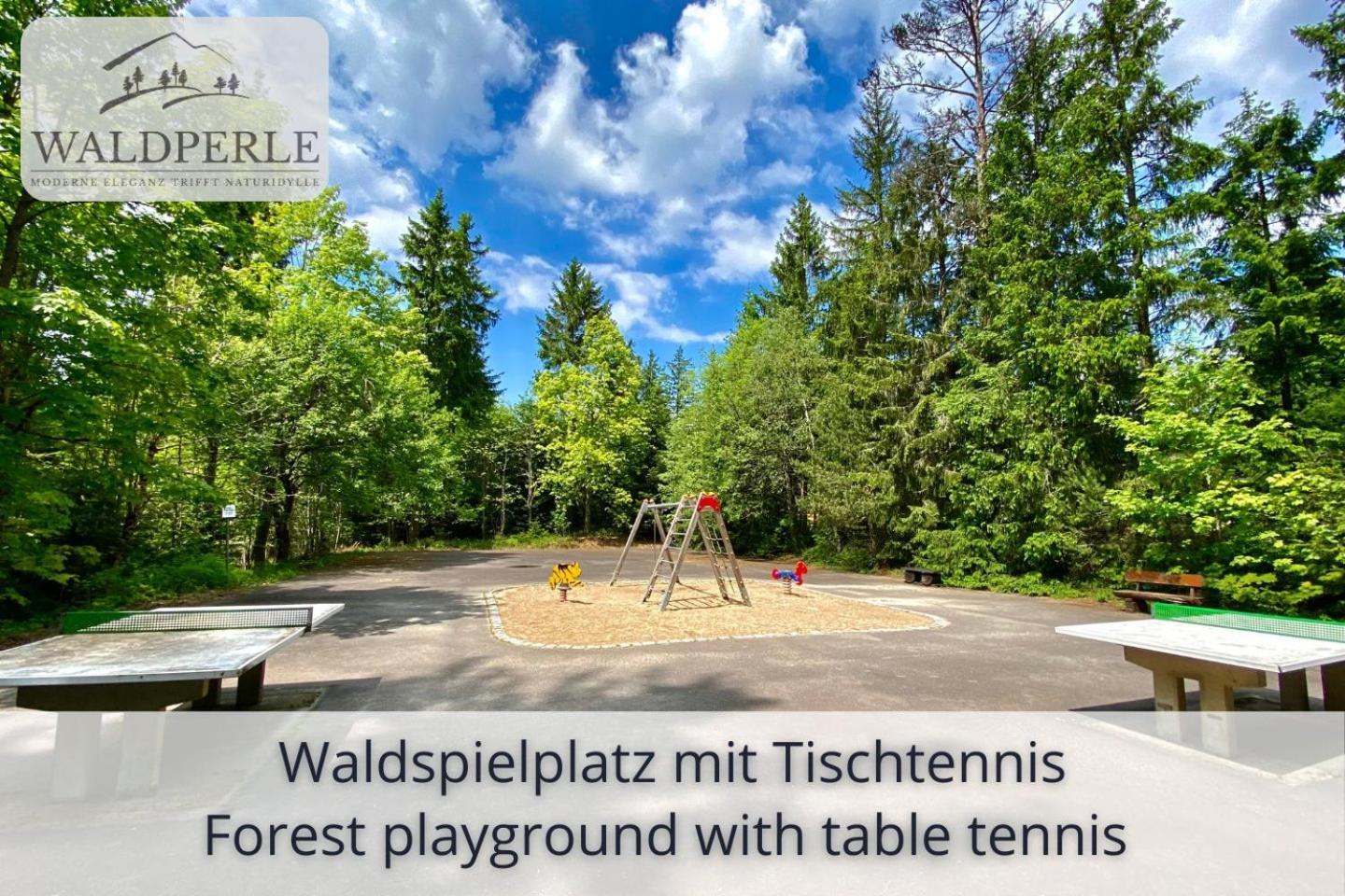 Apartment Bellevue mit Indoor-Pool, Sauna und Tennisplatz Schonach im Schwarzwald Exterior foto