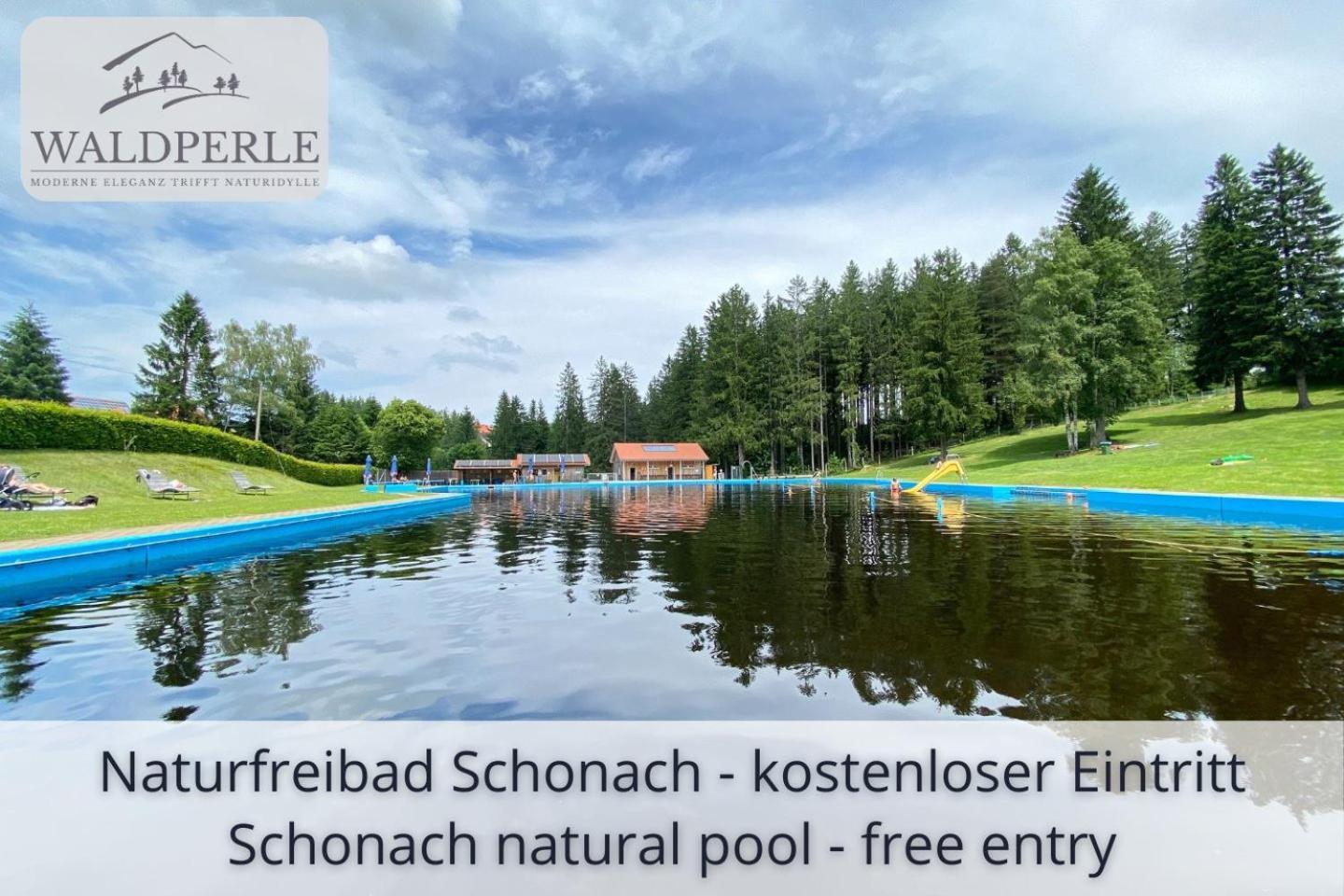 Apartment Bellevue mit Indoor-Pool, Sauna und Tennisplatz Schonach im Schwarzwald Exterior foto