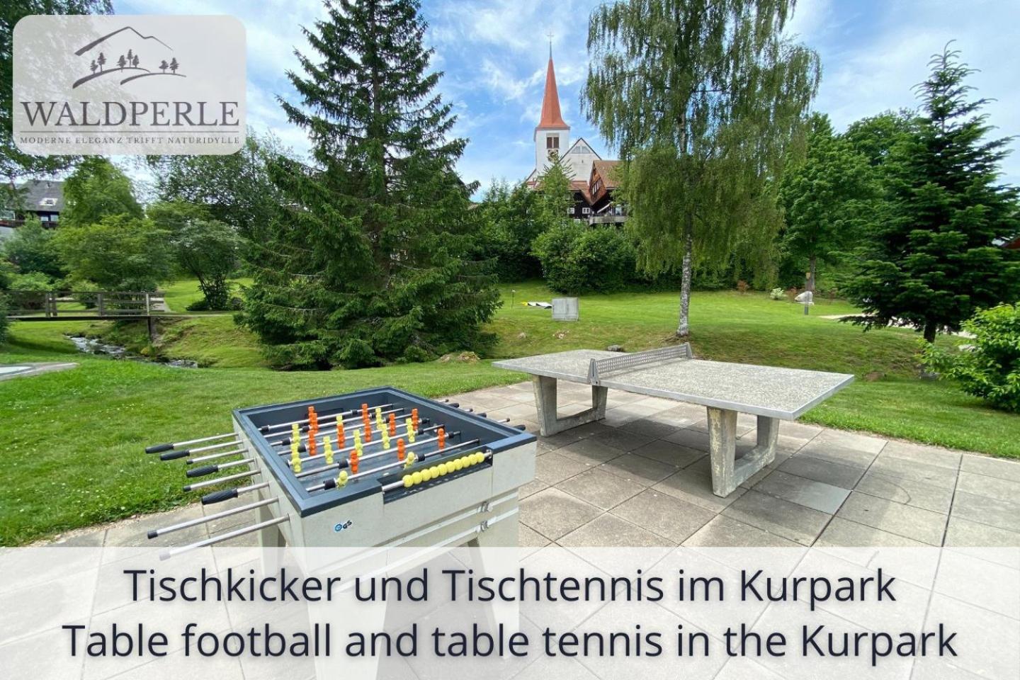Apartment Bellevue mit Indoor-Pool, Sauna und Tennisplatz Schonach im Schwarzwald Exterior foto