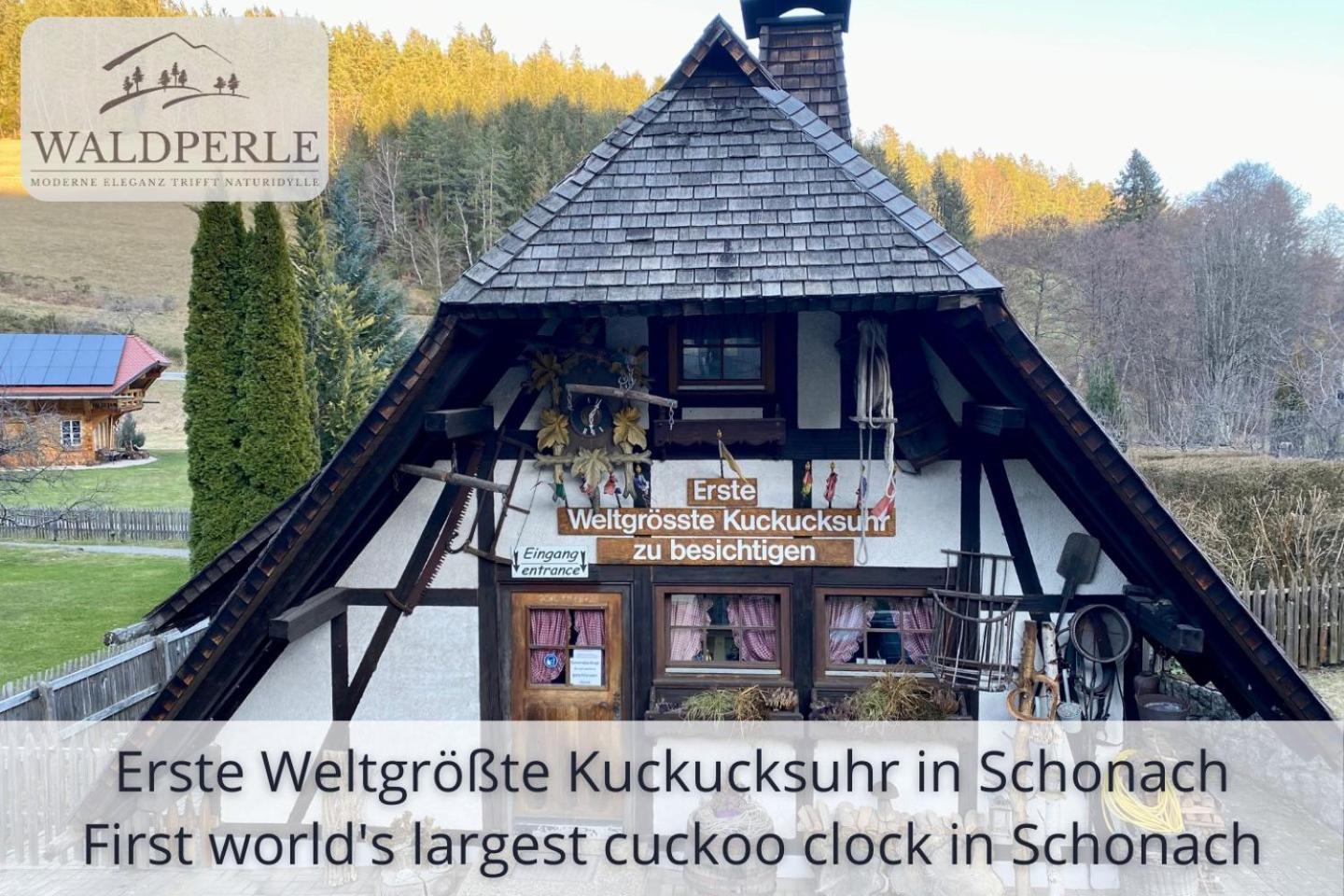 Apartment Bellevue mit Indoor-Pool, Sauna und Tennisplatz Schonach im Schwarzwald Exterior foto