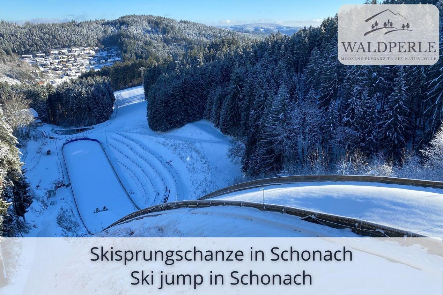 Apartment Bellevue mit Indoor-Pool, Sauna und Tennisplatz Schonach im Schwarzwald Exterior foto