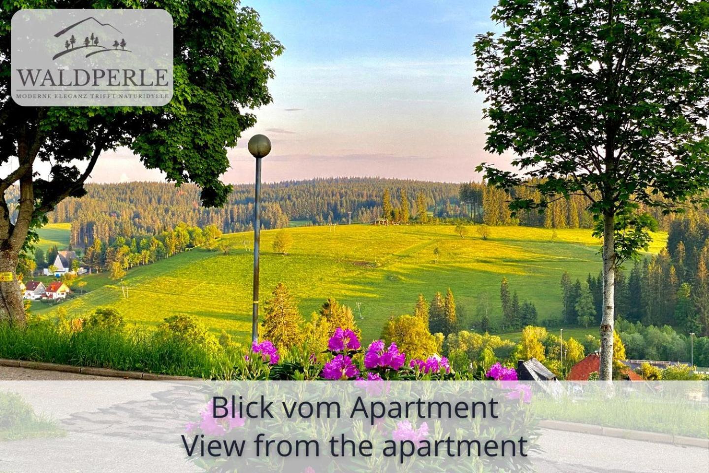 Apartment Bellevue mit Indoor-Pool, Sauna und Tennisplatz Schonach im Schwarzwald Exterior foto
