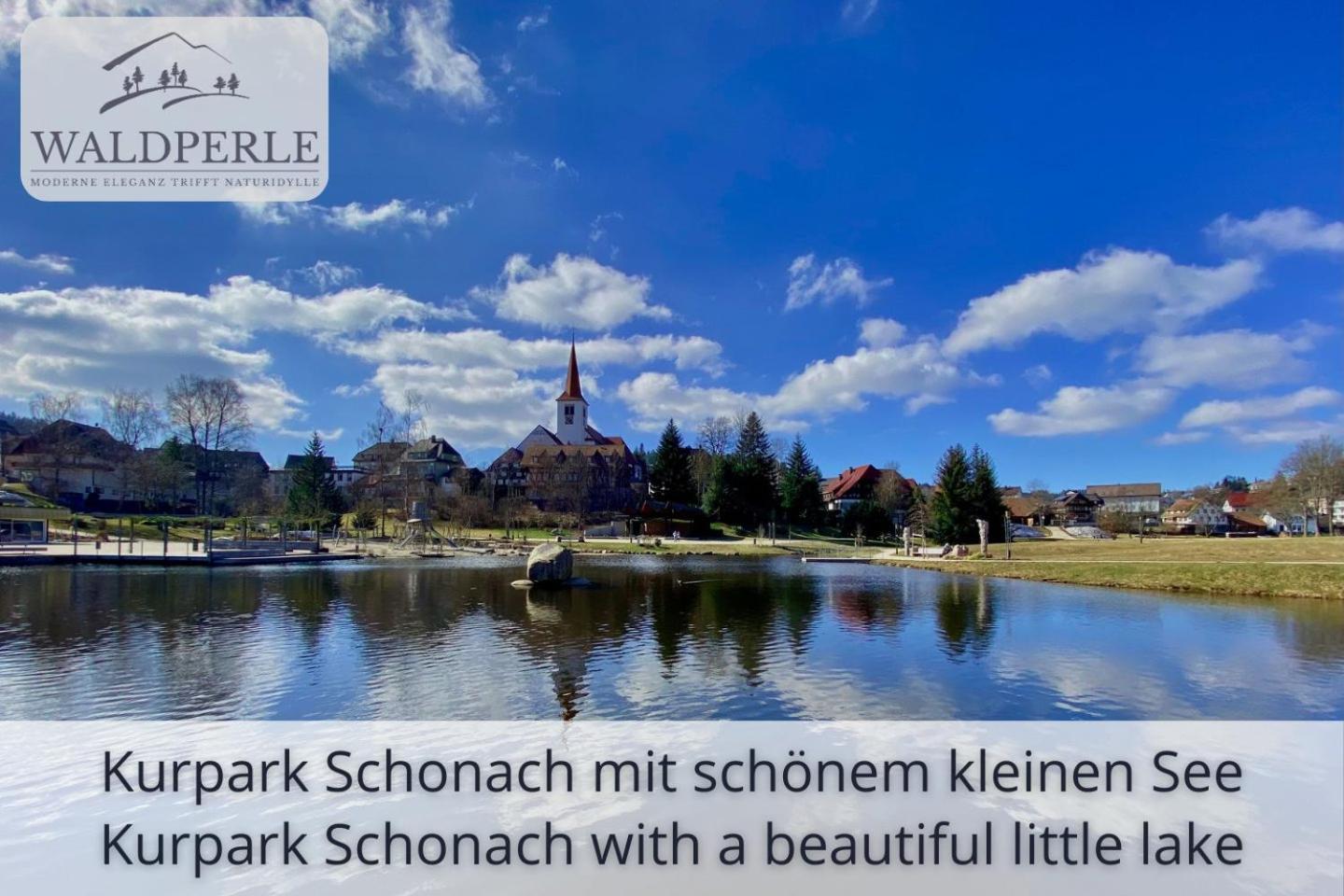 Apartment Bellevue mit Indoor-Pool, Sauna und Tennisplatz Schonach im Schwarzwald Exterior foto