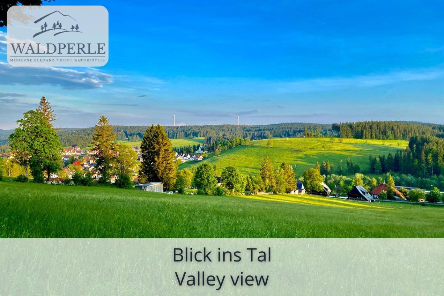 Apartment Bellevue mit Indoor-Pool, Sauna und Tennisplatz Schonach im Schwarzwald Exterior foto