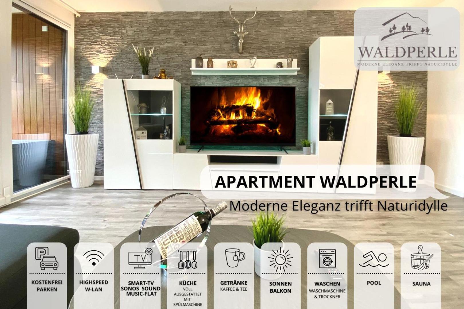 Apartment Bellevue mit Indoor-Pool, Sauna und Tennisplatz Schonach im Schwarzwald Exterior foto